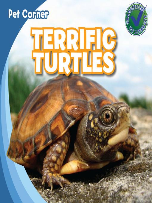 Terrific Turtles