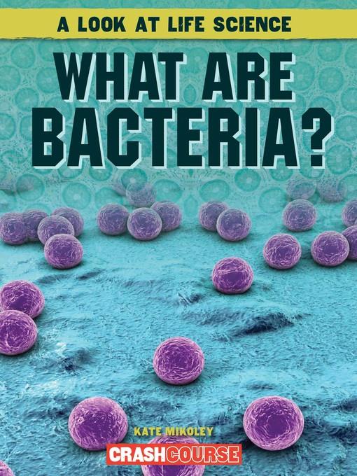 What Are Bacteria?