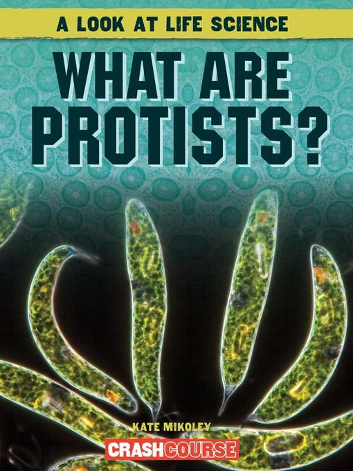 What Are Protists?