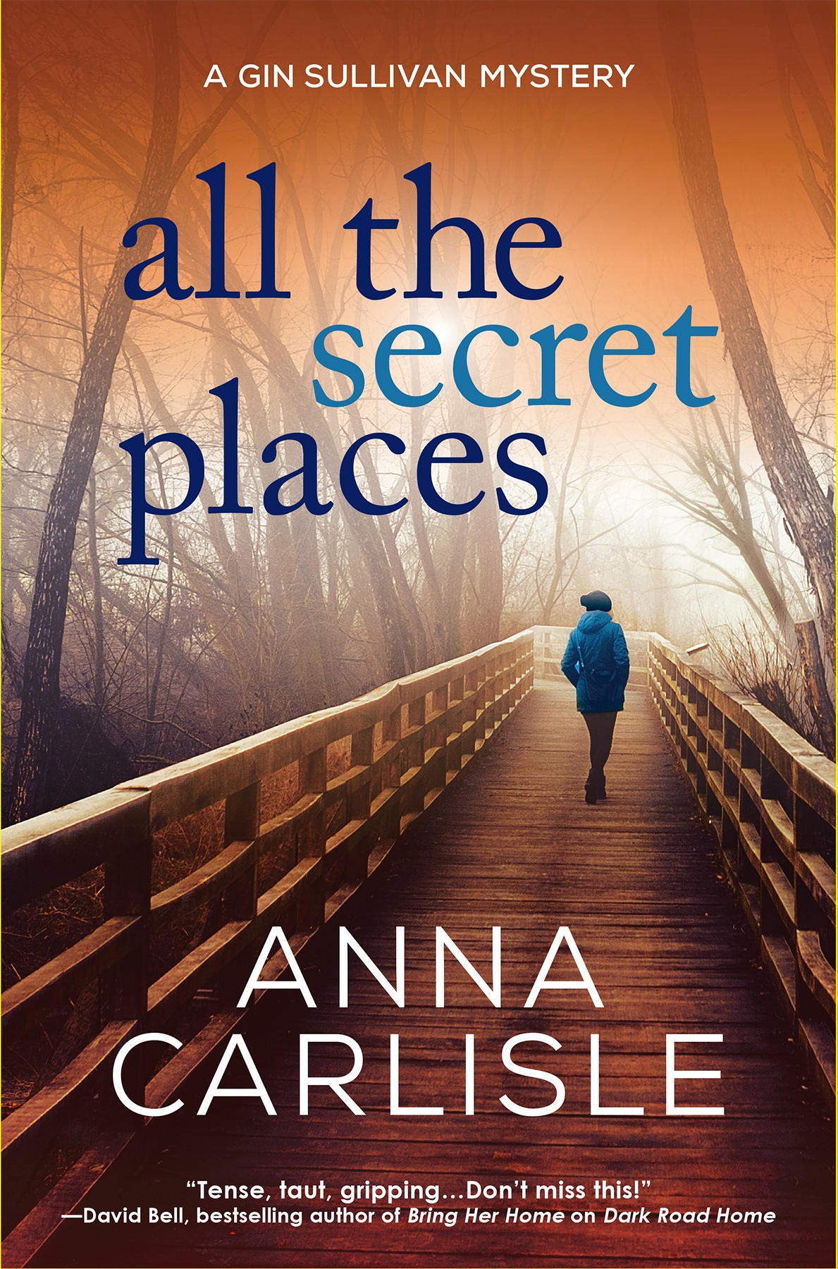 All the Secret Places: A Gin Sullivan Mystery (Gin Sullivan Mysteries, Book 2)