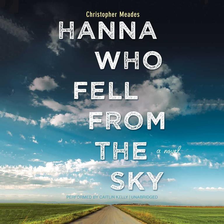 Hanna Who Fell from the Sky: A Novel