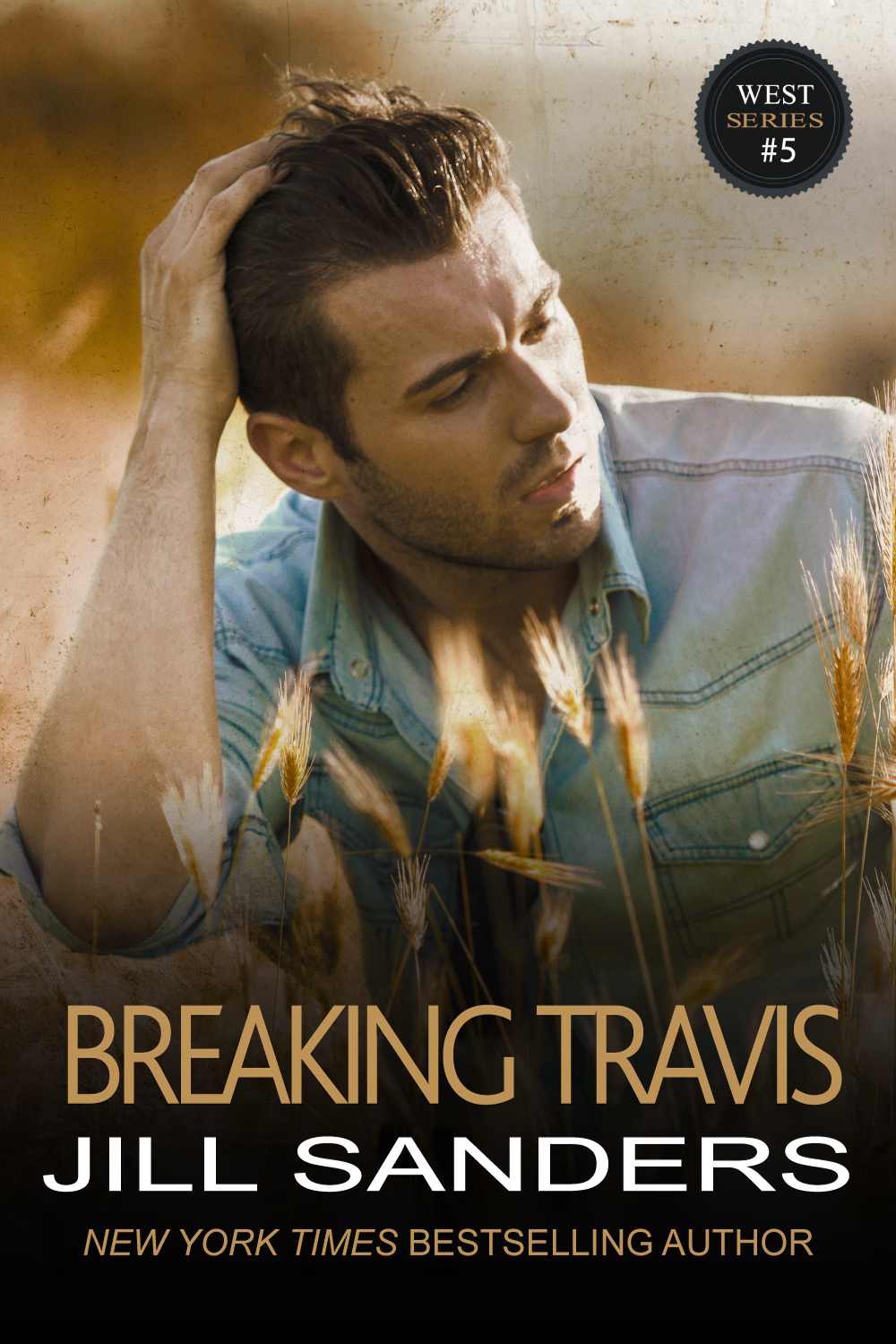 Breaking Travis (West Series, Book 5)