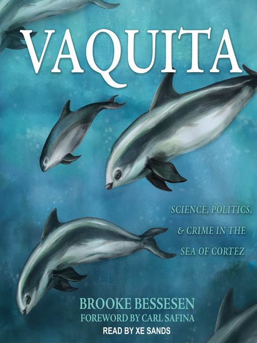 Vaquita