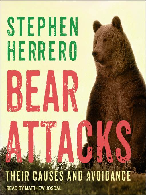 Bear Attacks