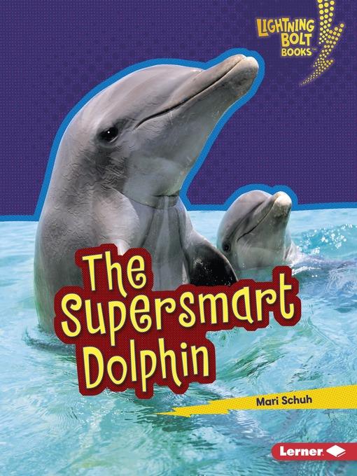 The Supersmart Dolphin