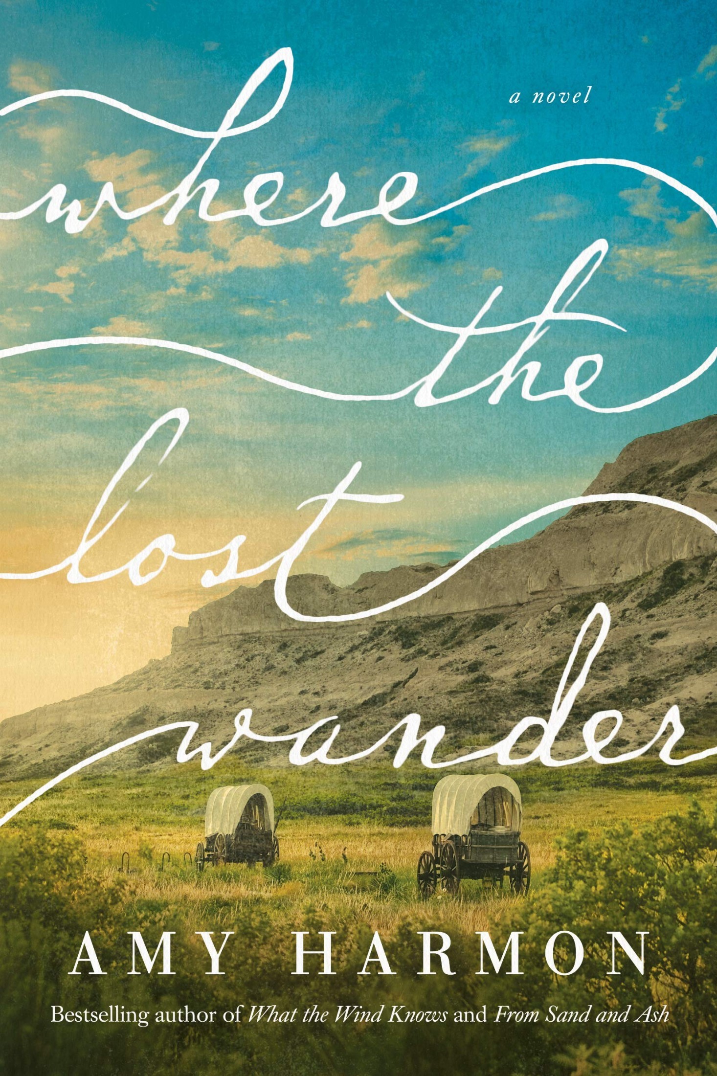 Where the Lost Wander: A Novel