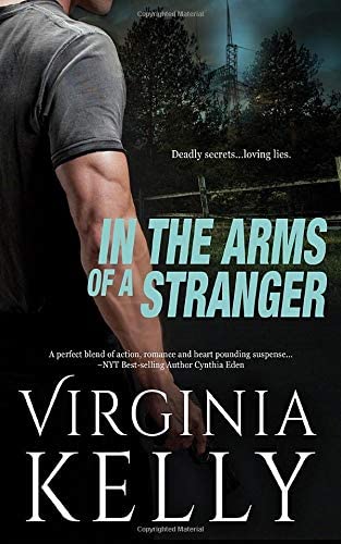 In the Arms of a Stranger (Shadow Heroes) (Volume 2)