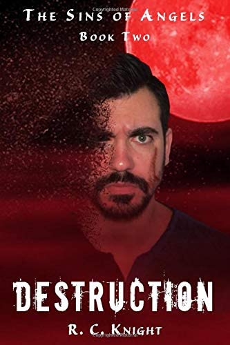 Destruction: The Sins of Angels Book Two