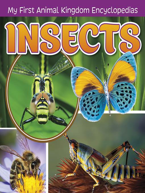 Insects