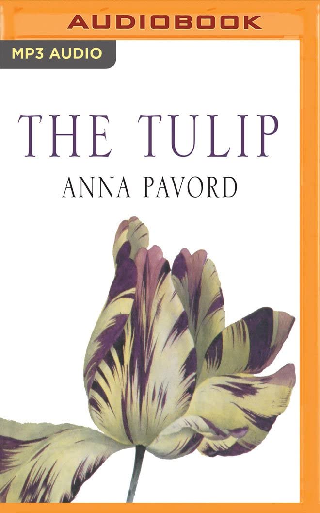 Tulip, The