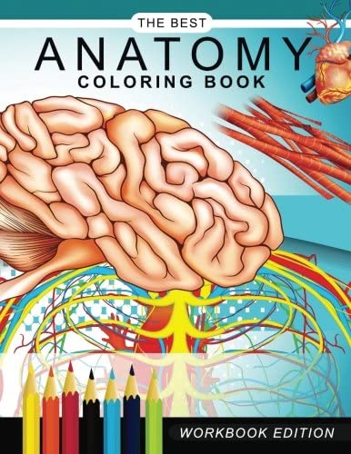 Anatomy coloring book: Muscles and Physiology Workbook Edition