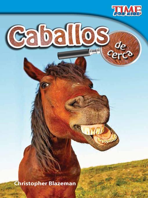 Caballos de cerca