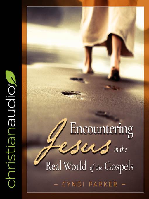 Encountering Jesus in the Real World of the Gospels