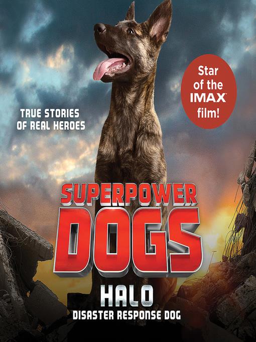 Halo, Disaster Response Dog
