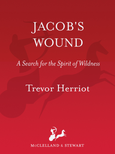 Jacob's Wound