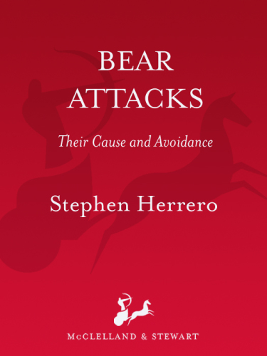 Bear Attacks