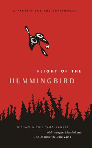 Flight of the Hummingbird