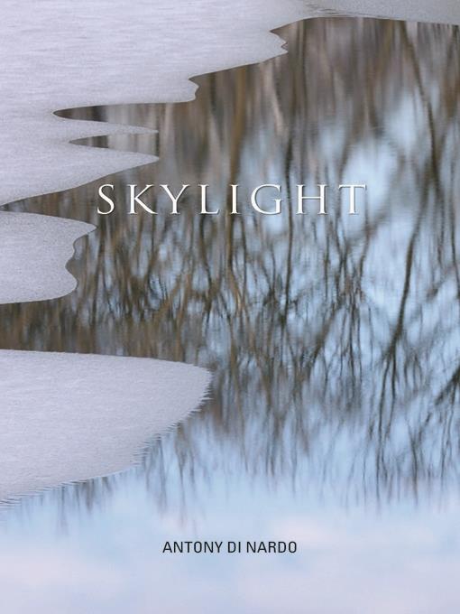 Skylight