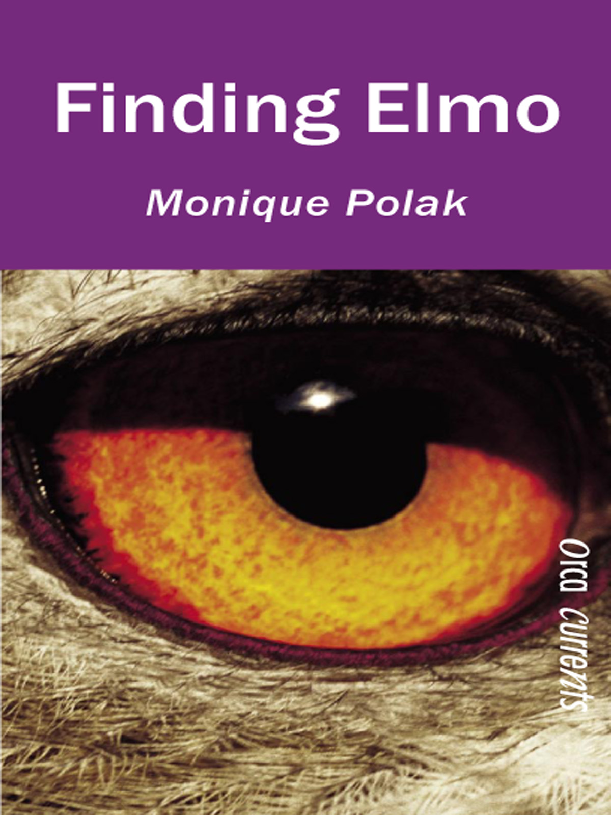 Finding Elmo