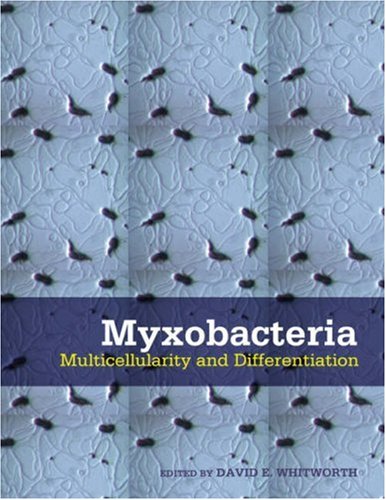 Myxobacteria