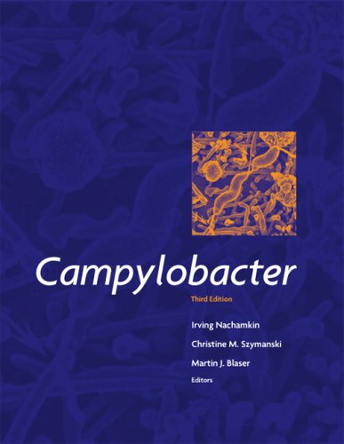 Campylobacter