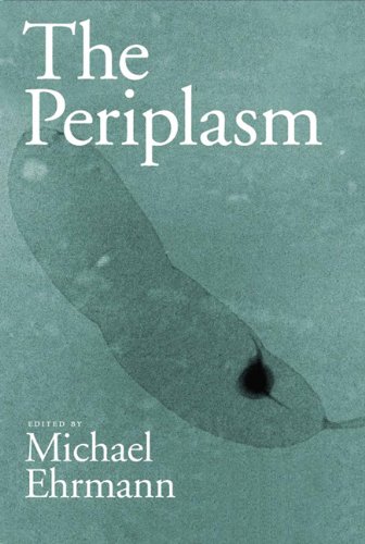 The periplasm