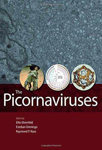 The Picornaviruses