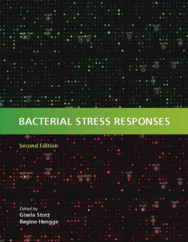 Bacterial Stress Responses