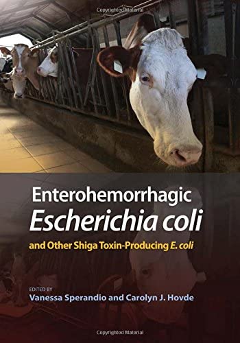 Enterohemorrhagic Escherichia Coli and Other Shiga Toxin-Producing E. Coli