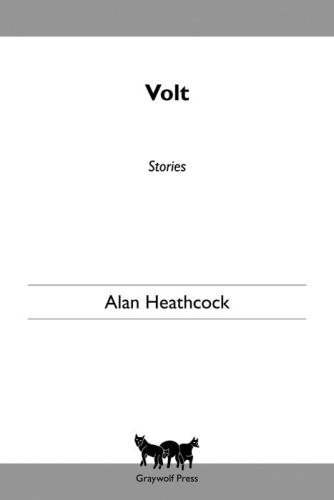 Volt