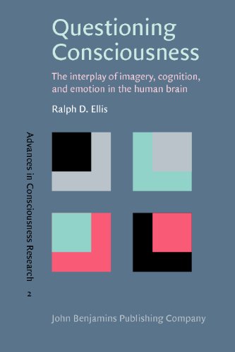 Questioning Consciousness