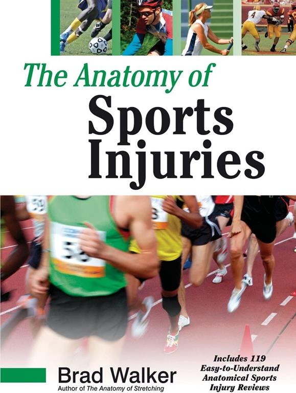 The Anatomy of Sports Injuries