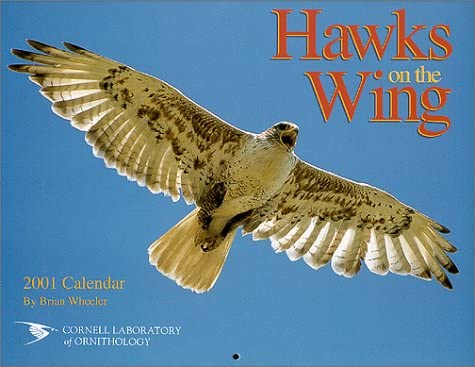 Hawks on the Wing: 2001 Calendar