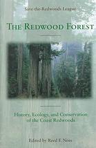 The Redwood Forest