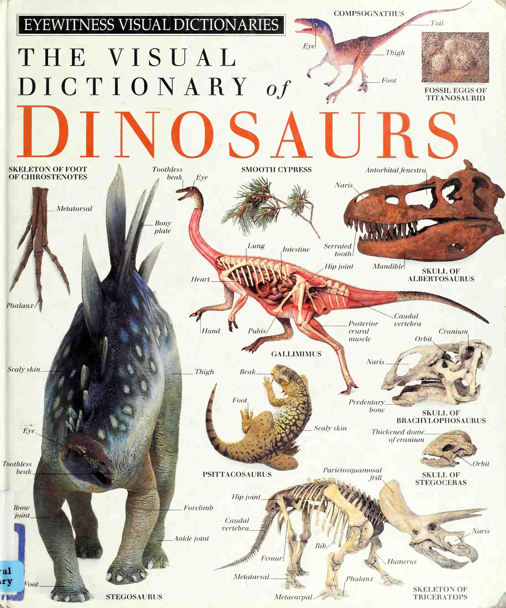 The Visual Dictionary of Dinosaurs (DK Visual Dictionaries)