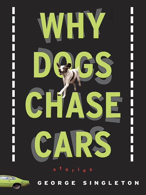 Why Dogs Chase Cars