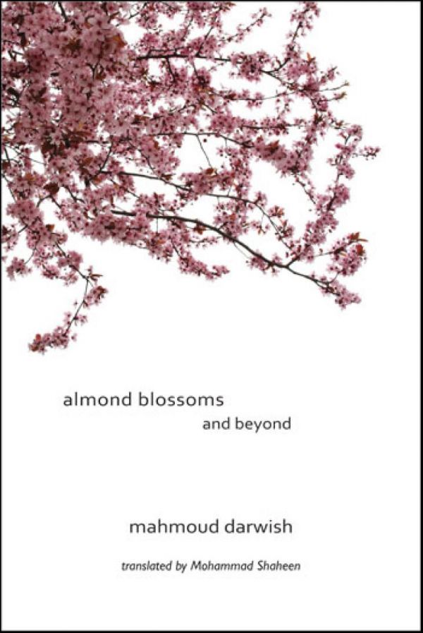 Almond Blossoms and Beyond