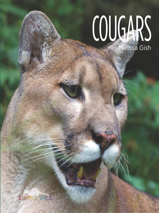 Cougars