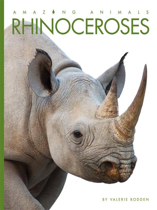 Rhinoceroses