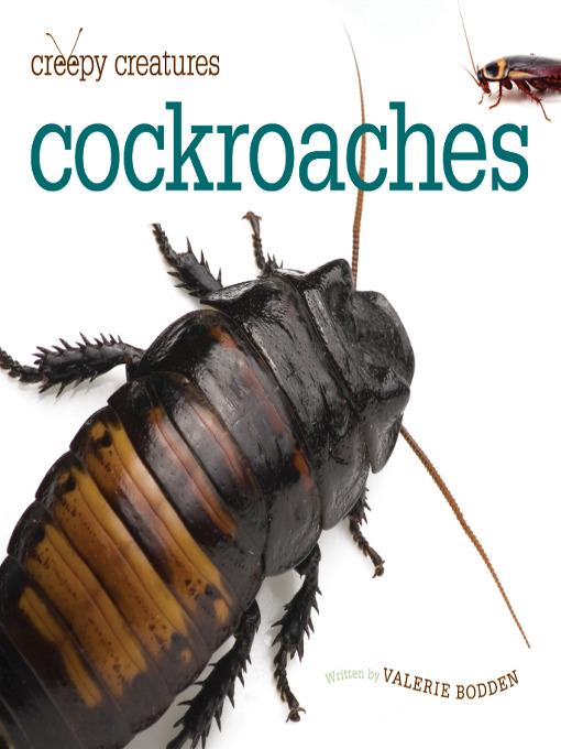 Cockroaches