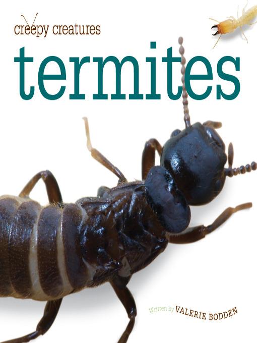 Termites