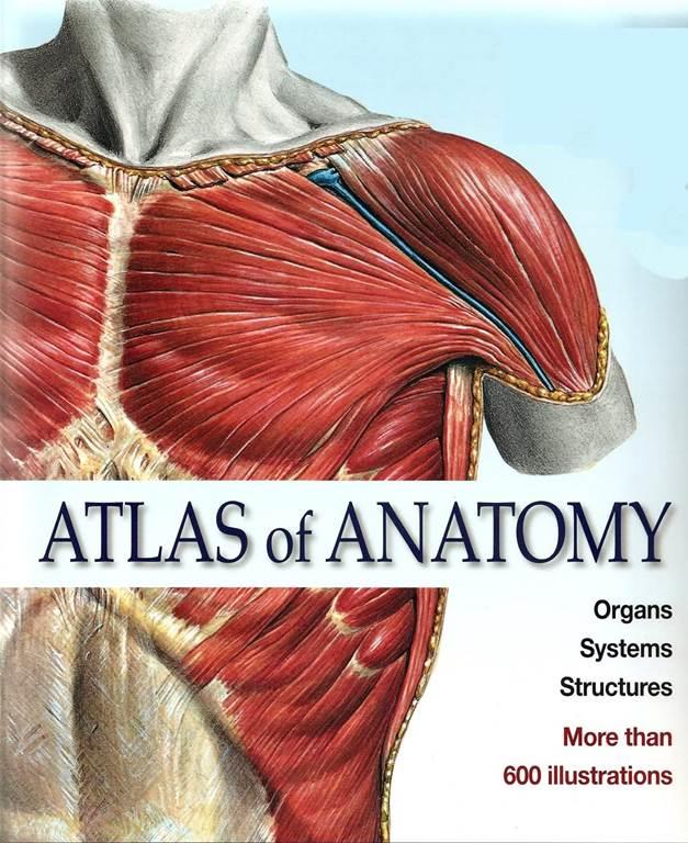 Atlas of Anatomy