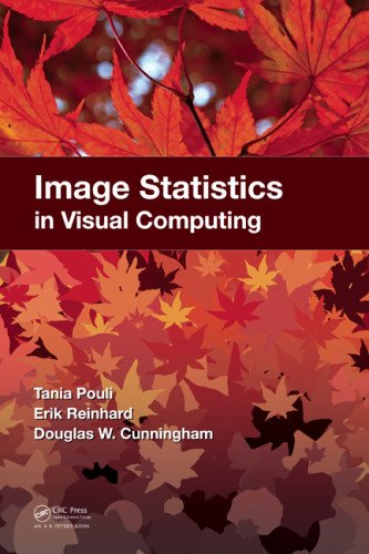 Image Statistics and Computer Graphics