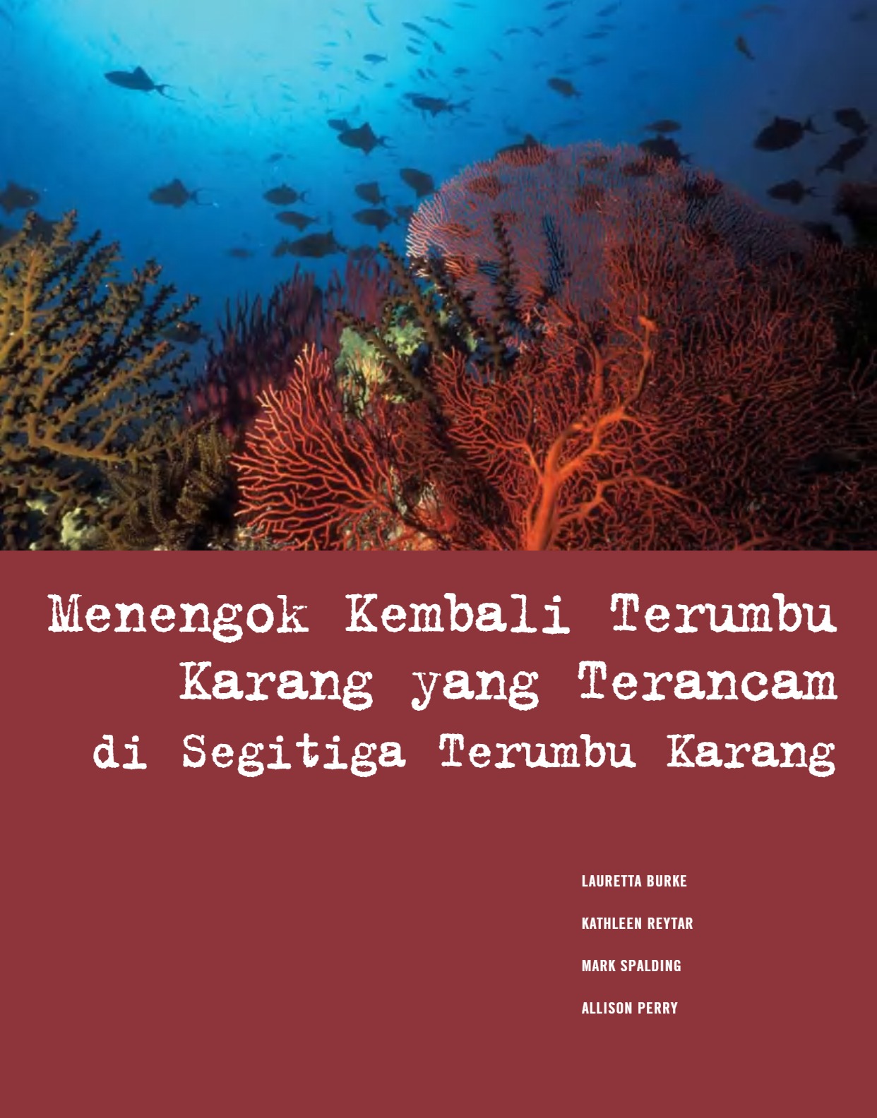 Menengok Kembali Terumbu Karang yang Terancam di Segitiga Terumbu Karang