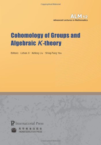 Cohomology of Groups and Algebraic K-Theory