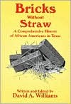 Bricks Without Straw