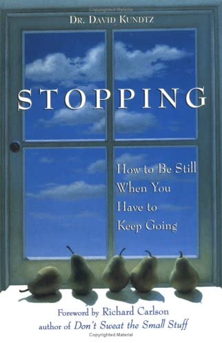 Stopping: How to Be Still When You Have to Keep Going