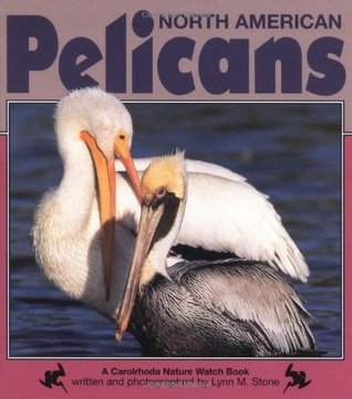 North American Pelicans (Nature Watch (Lerner))