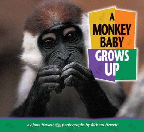 A Monkey Baby Grows Up