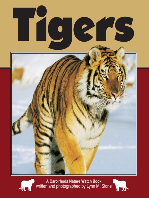 Tigers